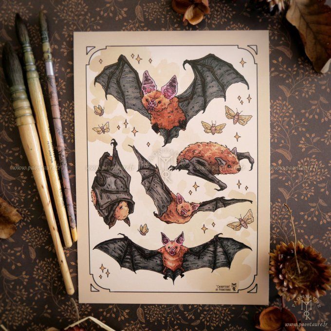 BATS - Petit Print format A5