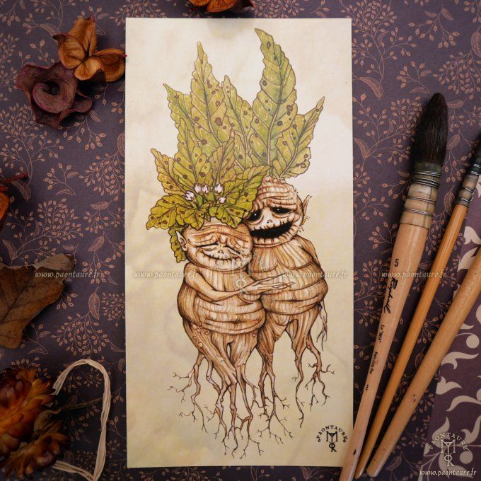 MANDRAGORAS - carte postale longue